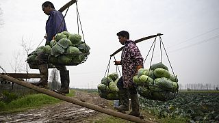 Pics of the day, March 5, 2020