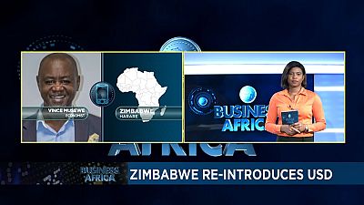 Zimbabwe re-introduces USD [Business Africa]