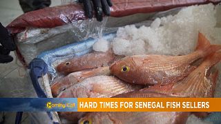Hard times for Senegal's Fish sellers