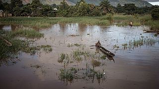 Des dizaines de morts après des inondations dans l'Est de la RDC