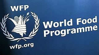 COVID-19: Worst humanitarian crisis since WWII looms - WFP