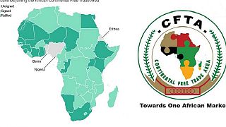 Launch of Africa free trade deal postponed due to coronavirus pandemic