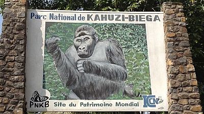RDC : quatre miliciens tués dans le Parc national