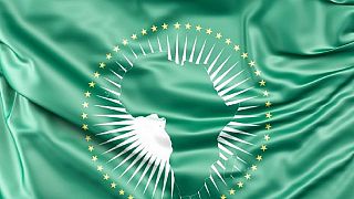 Coronavirus : le lancement de la zone africaine de libre-échange suspendu