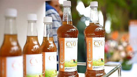 Congo orders COVID-Organics, the Madagascar herbal 'cure'