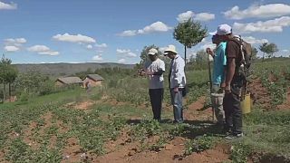 Madagascar – Agriculture : les analyses de l'espoir