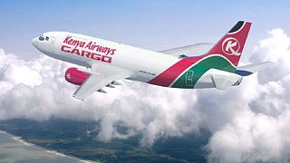 Somalia vows to investigate Kenyan plane crash; killing 6