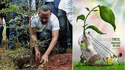 Green Legacy initiative: Ethiopia targets 5 billion trees this year