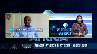 Ethiopia: synergy electricity [Business Africa]