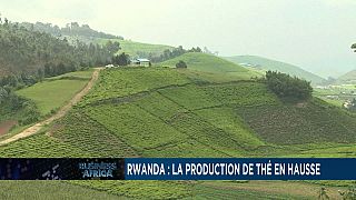 Rwanda: the growing tea sector [Business Africa]