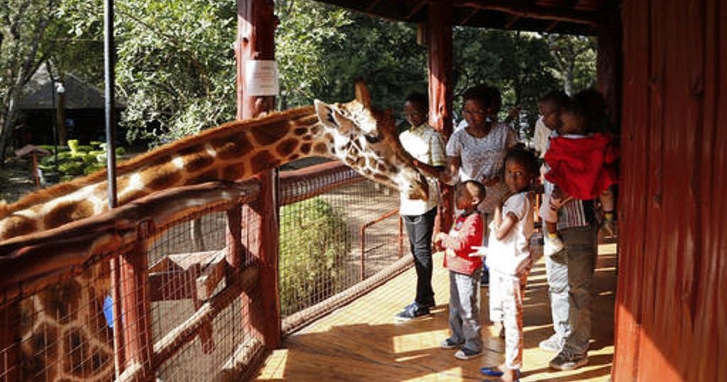 Tourist distancing: Virus impacts Kenya's Giraffe Manor