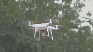 Côte d'Ivoire : des drones pour l'agriculture
