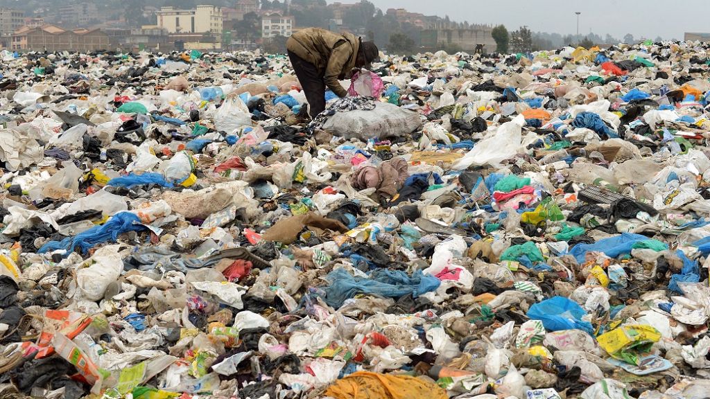 Kenya bans singleuse plastics in protected areas Africanews