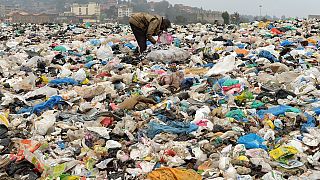 Kenya bans single-use plastics in protected areas