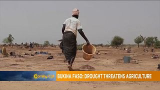 Burkina Faso: Drought threatens agriculture