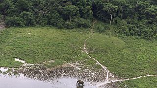 Inside Raponda Walker Arboretum: Gabon's 'threatened' rainforest