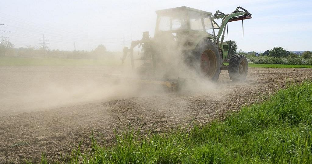 Burkina Faso : l'agriculture en danger