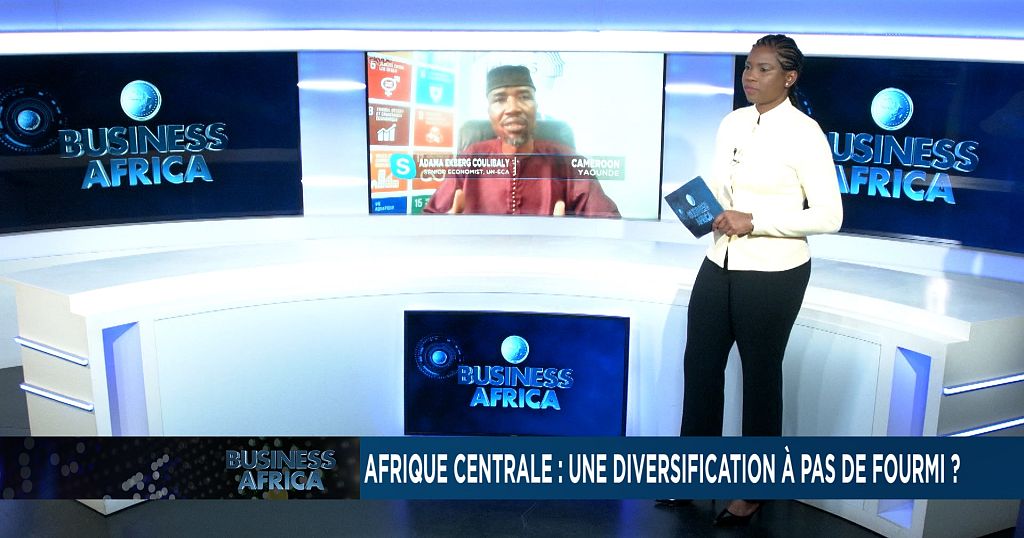 Central Africa's diversification master plan
