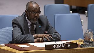 Somalia, Eswatini, Togo, others elected veeps of 75th UN Gen. Assembly