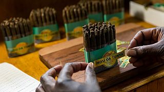 Zimbabwe's first cigar manufacturing company begins production