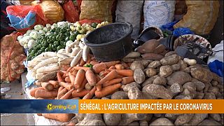 Senegal: COVID-19 slams Agric sector [Grand Angle]