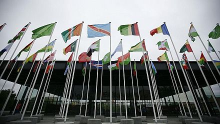 African govts must urgently update digital rights laws - Lawyer
