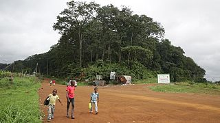 Gabon : la ferme-école de Bolokoboué