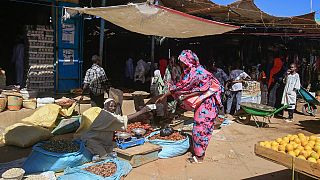 Soudan : au moins 20 paysans tués par des hommes armés au Darfour