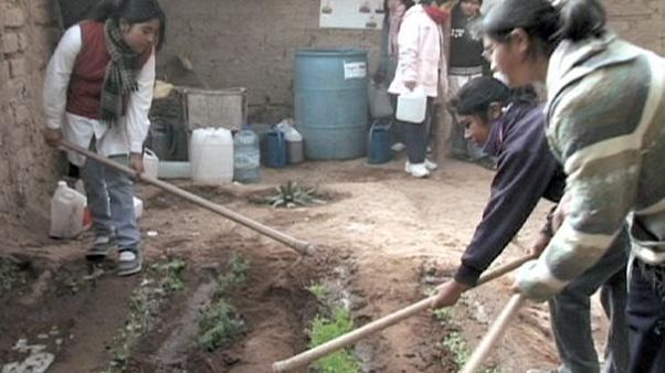 Comida y educación Comida y educación