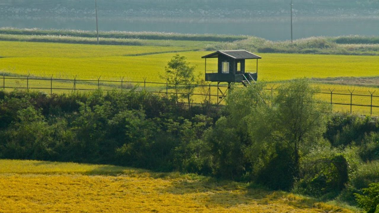 Koreas entmilitarisierte Zone: Vom Niemandsland zum Naturparadies Koreas entmilitarisierte Zone: Vom Niemandsland zum Naturparadies