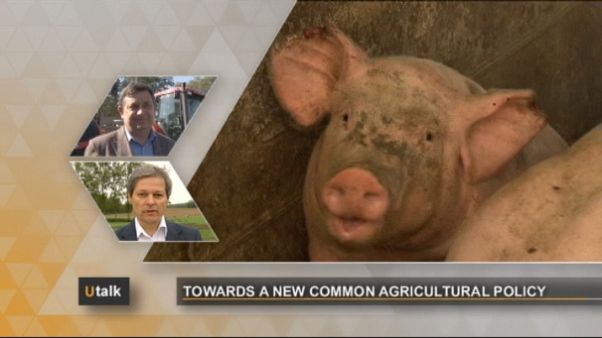 Towards a new Common Agricultural Policy Towards a new Common Agricultural Policy