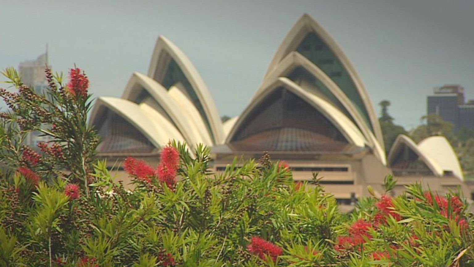 La magia dei Viennesi incanta Sydney