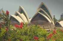 Sydney e Viena unidas pela música clássica
