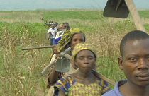 DR Congo: harvesting on the ruins of war