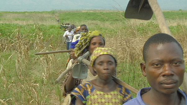 Volver a nacer en el este de la República Democrática del Congo Volver a nacer en el este de la República Democrática del Congo