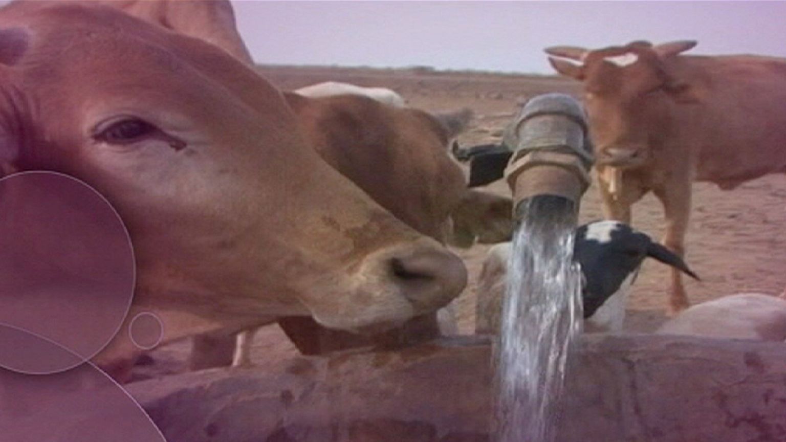 Wassermangel in der Welt: Was kann die EU tun?