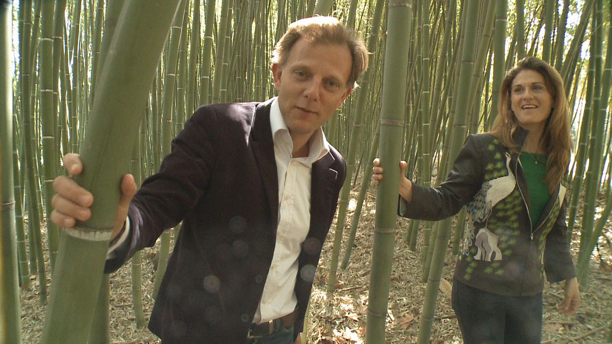 Ökologie und Innovation praktisch: Abwasserreinigung mit Bambus