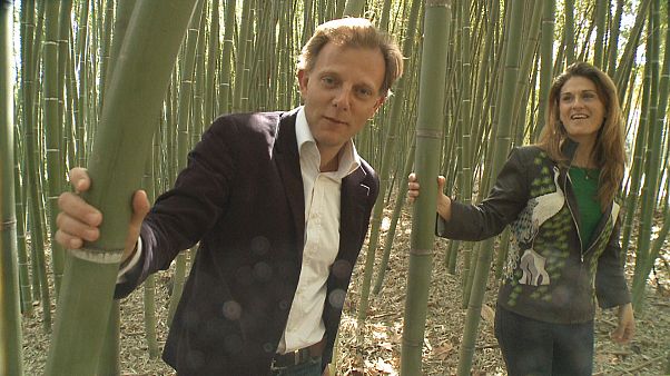 Eco-innovation : l'union fait la force Eco-innovation : l'union fait la force