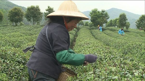 La agricultura: sembrar para el futuro La agricultura: sembrar para el futuro