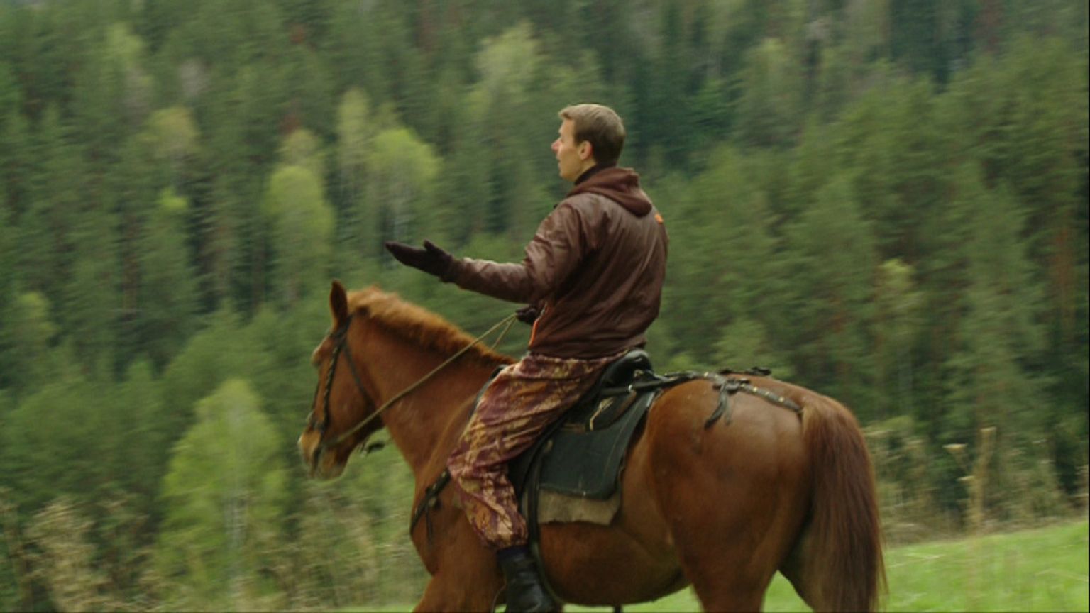 Traveller's Diary: Altai