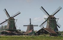 هلند و ریاضت اقتصادی