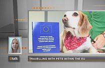 Voyager avec des animaux de compagnie au sein de l'UE