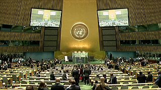 Naciones Unidas ¿una organización todavía con poder?