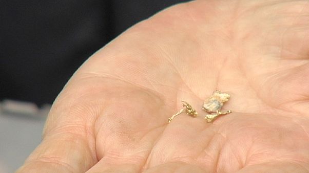 La fiebre del oro en Rumanía La fiebre del oro en Rumanía