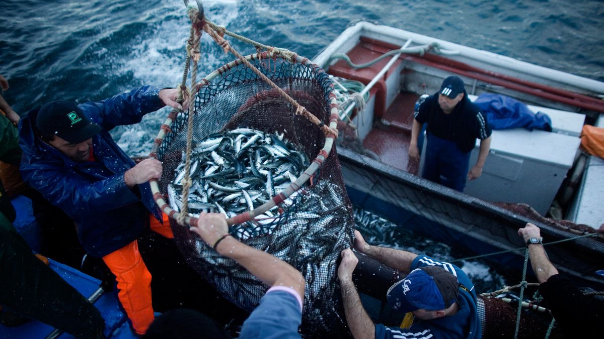 ЕС борется за рыбу и рыбаков