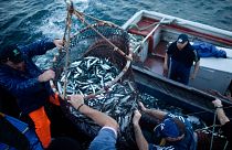 La Política Pesquera Común a debate