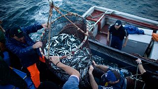 Overfishing: can the EU influence change?