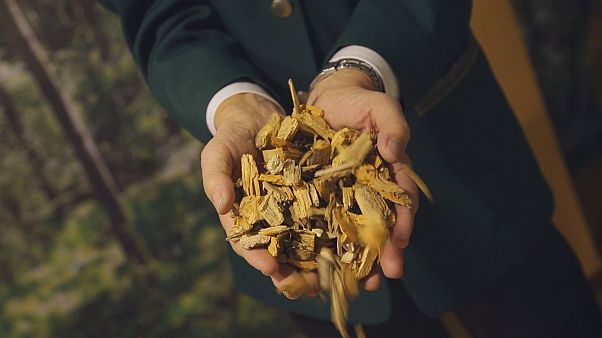 Kümelenme modeli doğa dostu şirketleri büyütüyor Kümelenme modeli doğa dostu şirketleri büyütüyor