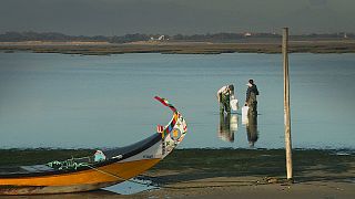 Λιμνοθάλασσα του Αβέιρο: «Πολύτιμο» οικοσύστημα σε κίνδυνο
