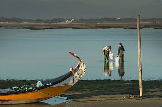 Lagoons under the microscope